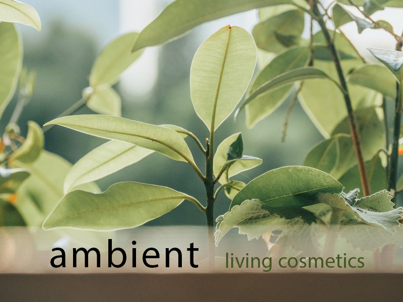 Ambient